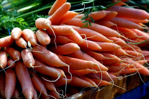 carrot food vegetables