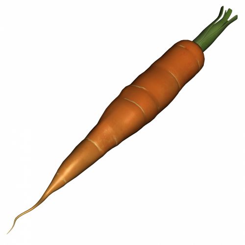 Carrot Isolated
