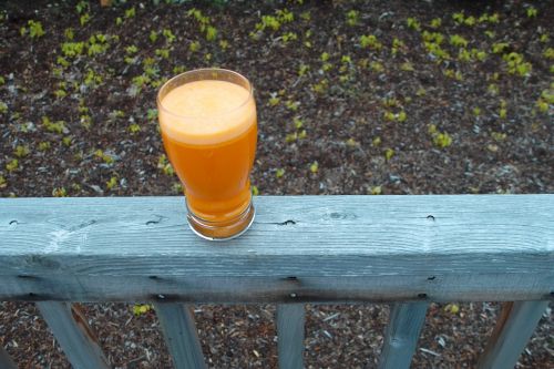 carrot juice glass cup
