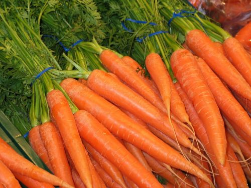 carrots federal carrots food