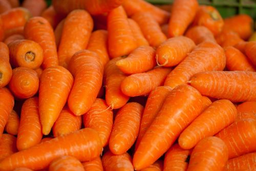 carrots vegetables market