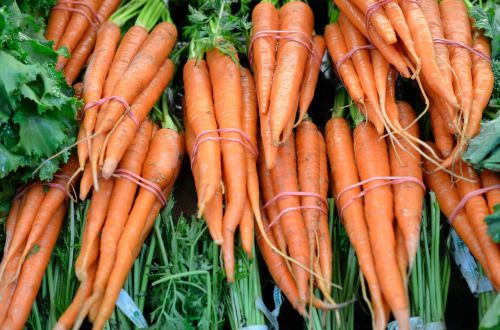 carrots orange veg