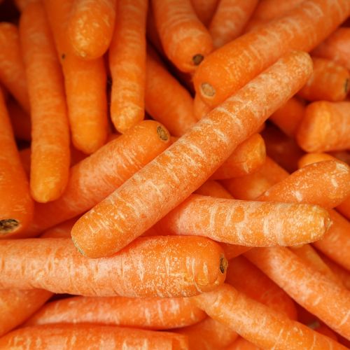 carrots fresh vegetable