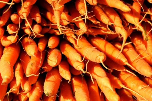 carrots vegetables food