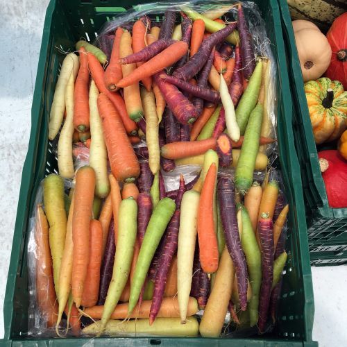 carrots colorful vegetables