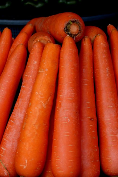 carrots vegetable greens