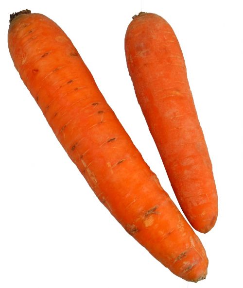 carrots vegetable food