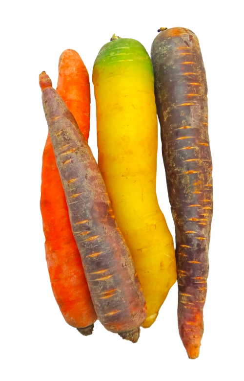 carrots rainbow food