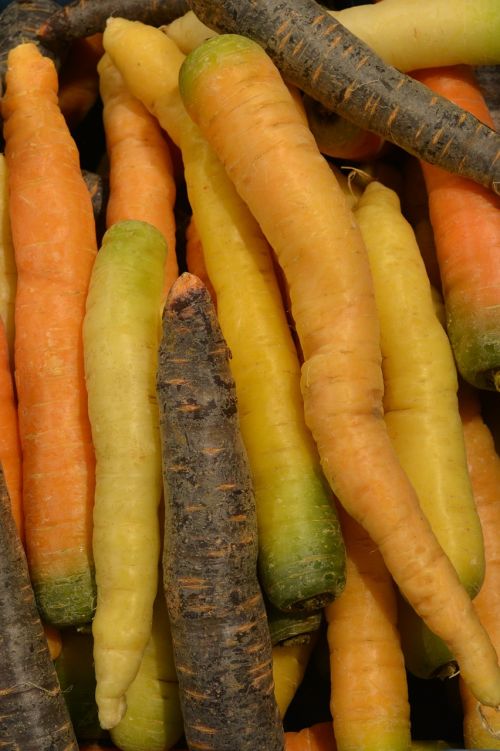 carrots vegetables roots