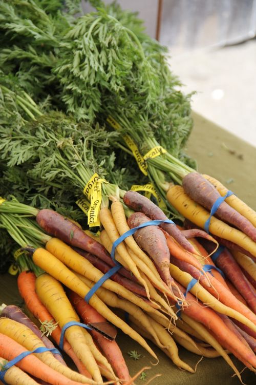 carrots veggies vegetables
