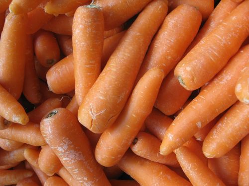 carrots vegetables harvest