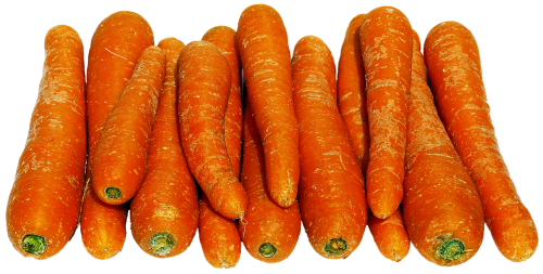 carrots lying carrot