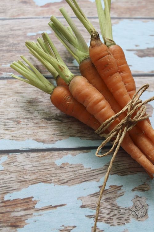 carrots organic nutrition