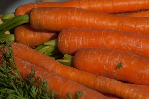 carrots food vegetable