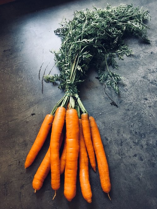 carrots  vegetables  fresh
