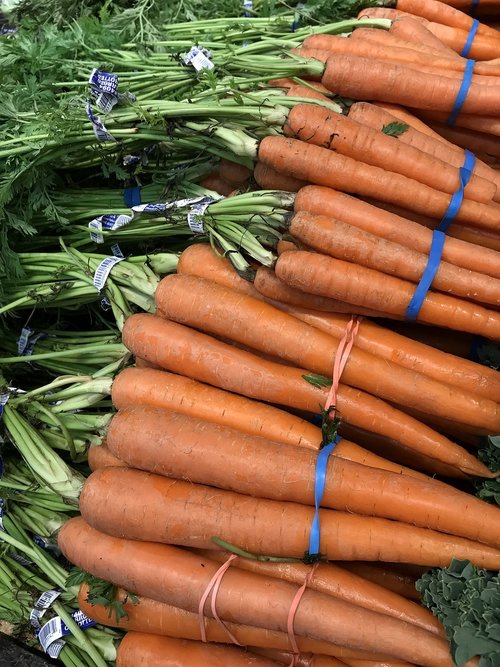 carrots  vegetables  food
