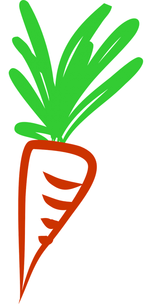 carrots health vegetables