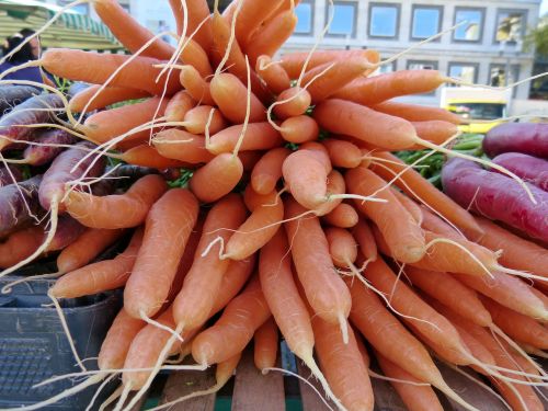 carrots vegetables carrot