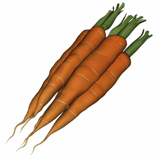 Carrots Isolated