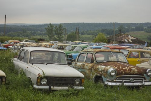 cars  field  museum