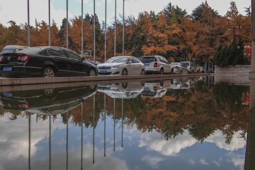 cars pond reflection