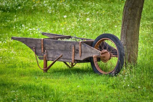 cart garden tool