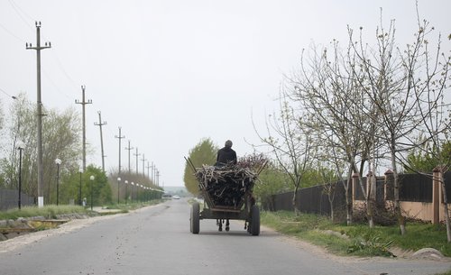 cart  street  village