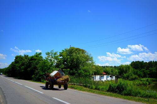 cart village horse