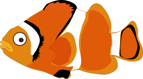 cartoon fish orange