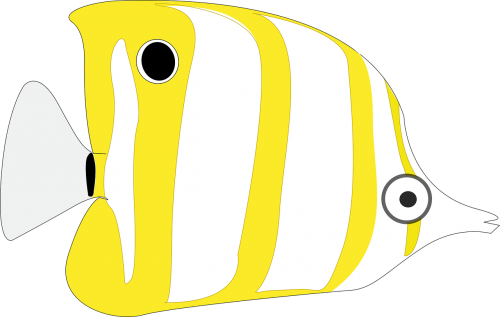 cartoon fish sea