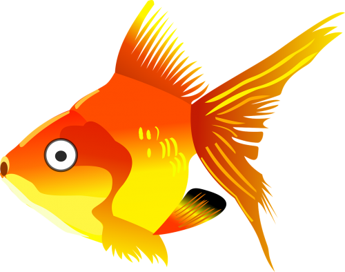 cartoon fish goldfish
