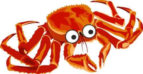 cartoon crab orange