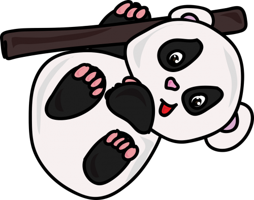 cartoon zoo panda