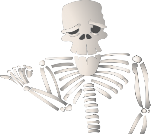 cartoon skeleton character