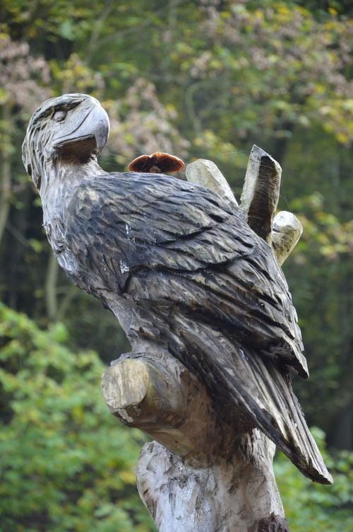 carve wood bird