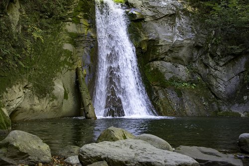 cascada  creek  nature