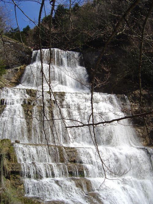 cascade hedgehog jura