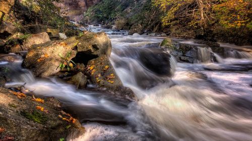 cascade creek fall