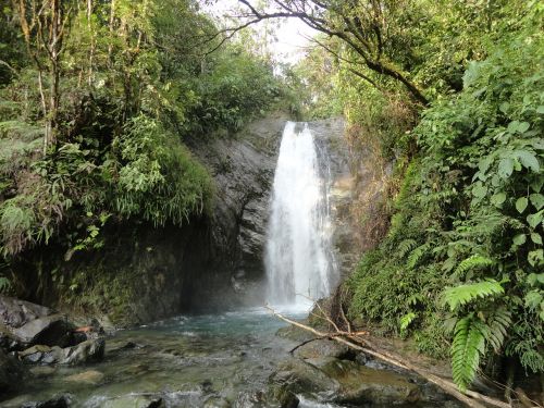 cascade rain forest waterfall