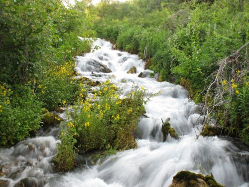cascade springs water