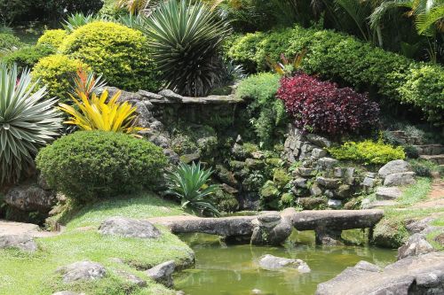 cascatinha garden landscaping