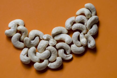 cashew nuts fruit