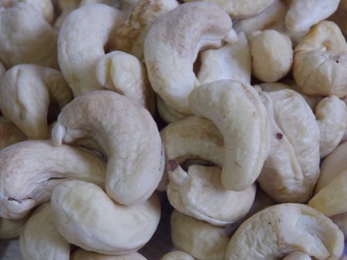 cashew nut white