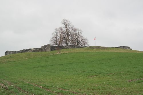 castle kastell irgenhausen roman fort