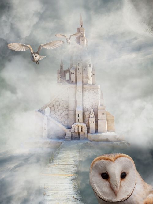 castle owl fairy tales