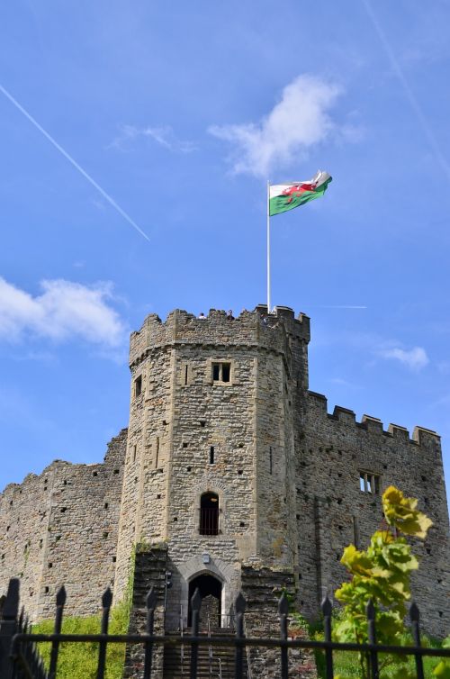 castle medieval flag