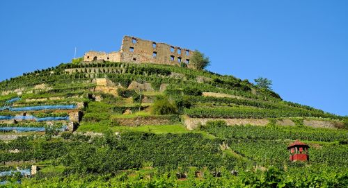 castle staufen burgruine