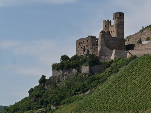 castle  ehrenfels  rhine