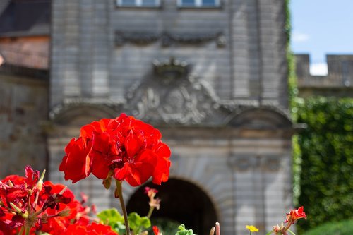 castle  flower  history