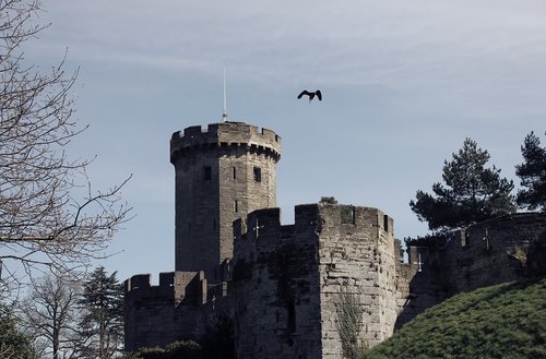 castle  eagle  flying